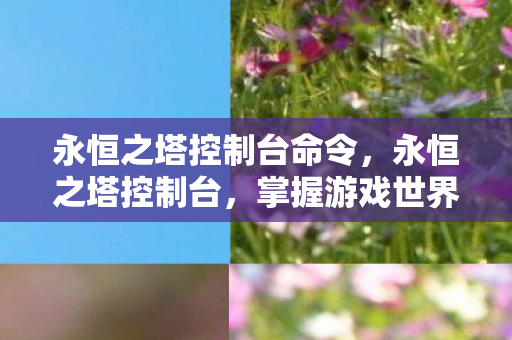 永恒之塔控制台命令，永恒之塔控制台，掌握游戏世界的钥匙