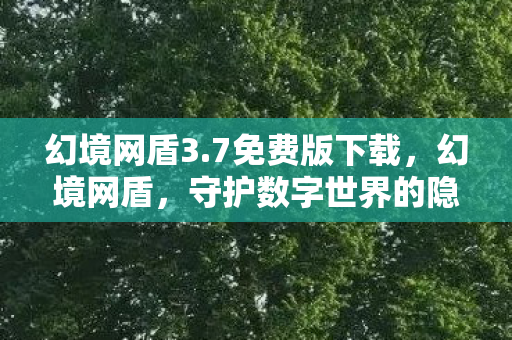 幻境网盾3.7免费版下载，幻境网盾，守护数字世界的隐形盾牌