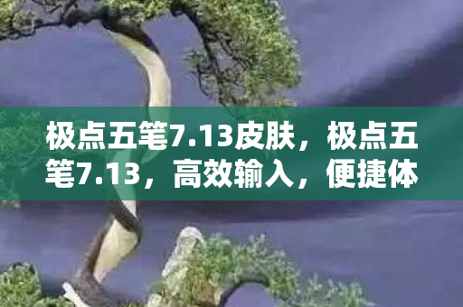 极点五笔7.13皮肤，极点五笔7.13，高效输入，便捷体验