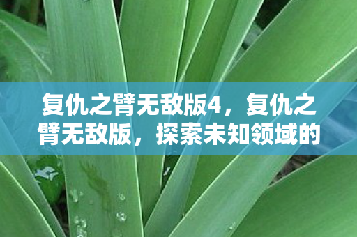 复仇之臂无敌版4，复仇之臂无敌版，探索未知领域的终极挑战