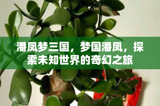 潘凤梦三国，梦国潘凤，探索未知世界的奇幻之旅