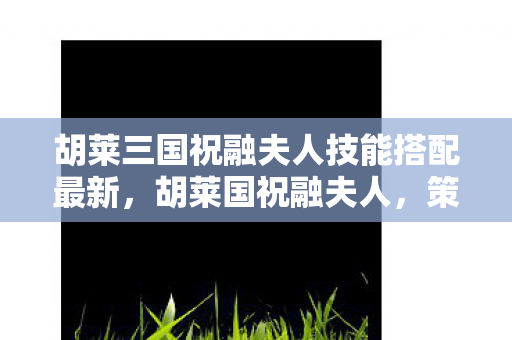 胡莱三国祝融夫人技能搭配最新，胡莱国祝融夫人，策略与智慧的化身