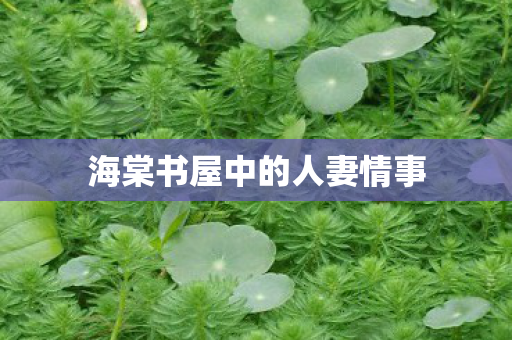 海棠书屋中的人妻情事