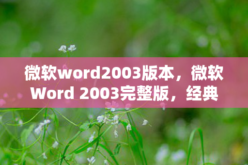 微软word2003版本，微软Word 2003完整版，经典办公工具的永恒魅力
