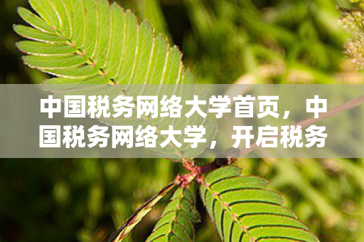 中国税务网络大学首页，中国税务网络大学，开启税务知识新篇章