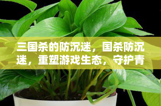 三国杀的防沉迷，国杀防沉迷，重塑游戏生态，守护青少年健康成长