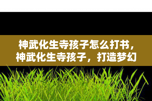 神武化生寺孩子怎么打书，神武化生寺孩子，打造梦幻西游中的佛系小僧