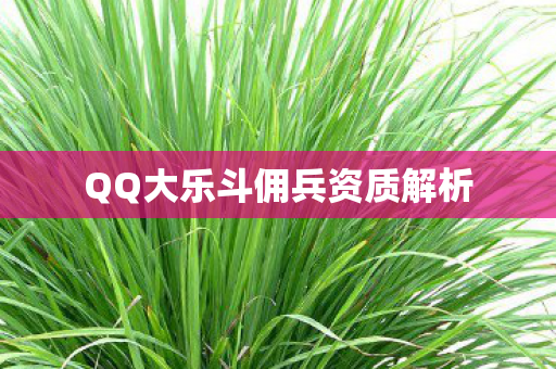QQ大乐斗佣兵资质解析