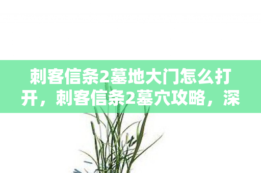 刺客信条2墓地大门怎么打开，刺客信条2墓穴攻略，深入古墓，揭秘宝藏