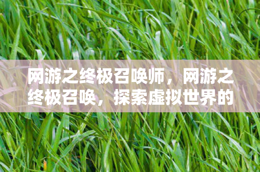 网游之终极召唤师，网游之终极召唤，探索虚拟世界的无限可能