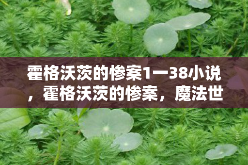 霍格沃茨的惨案1一38小说，霍格沃茨的惨案，魔法世界的阴影