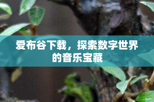 爱布谷下载，探索数字世界的音乐宝藏