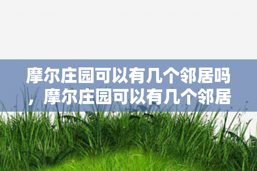 摩尔庄园可以有几个邻居吗，摩尔庄园可以有几个邻居？