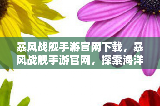 暴风战舰手游官网下载，暴风战舰手游官网，探索海洋，征服无限