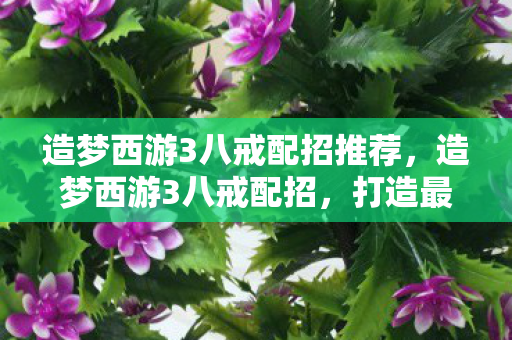 造梦西游3八戒配招推荐，造梦西游3八戒配招，打造最强战斗猪