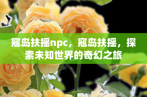 寇岛扶摇npc，寇岛扶摇，探索未知世界的奇幻之旅