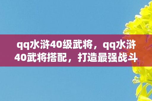 qq水浒40级武将，qq水浒40武将搭配，打造最强战斗阵容