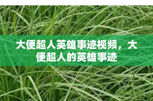 大便超人英雄事迹视频，大便超人的英雄事迹