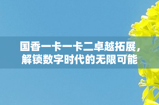 国香一卡一卡二卓越拓展，解锁数字时代的无限可能