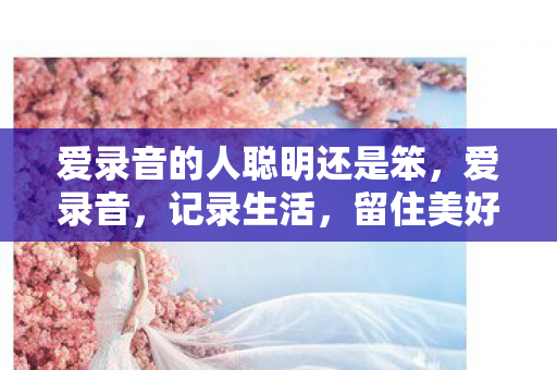 爱录音的人聪明还是笨，爱录音，记录生活，留住美好声音