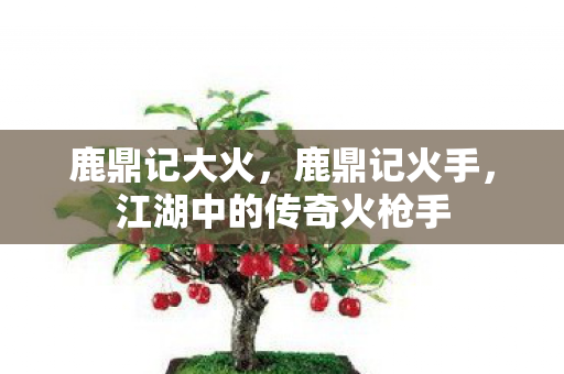 鹿鼎记大火，鹿鼎记火手，江湖中的传奇火枪手