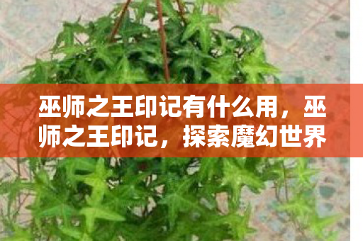 巫师之王印记有什么用，巫师之王印记，探索魔幻世界的神秘力量