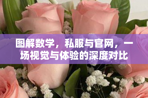 图解数学，私服与官网，一场视觉与体验的深度对比