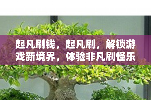 起凡刷钱，起凡刷，解锁游戏新境界，体验非凡刷怪乐趣