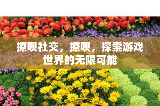 撩呗社交，撩呗，探索游戏世界的无限可能