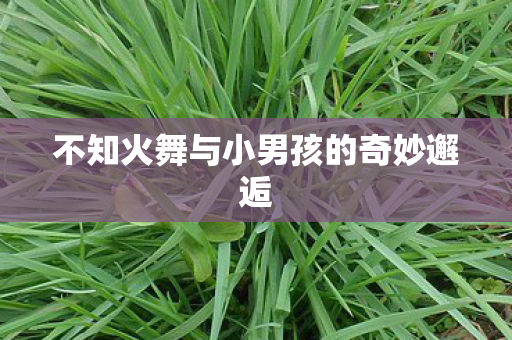 不知火舞与小男孩的奇妙邂逅