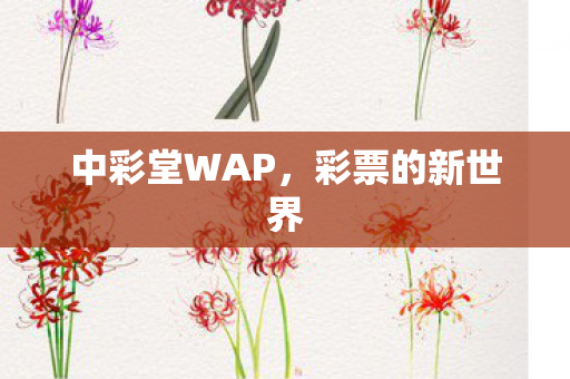 中彩堂WAP，彩票的新世界