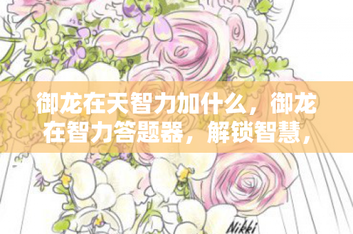 御龙在天智力加什么，御龙在智力答题器，解锁智慧，挑战自我