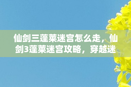 仙剑三蓬莱迷宫怎么走，仙剑3蓬莱迷宫攻略，穿越迷雾的奇幻之旅