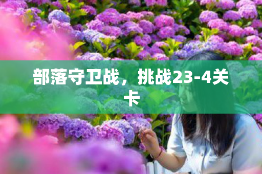部落守卫战，挑战23-4关卡
