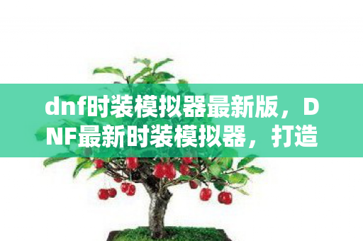 dnf时装模拟器最新版，DNF最新时装模拟器，打造个性化角色，尽享时尚潮流