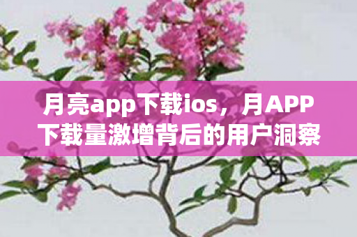 月亮app下载ios，月APP下载量激增背后的用户洞察与市场机遇