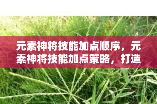 元素神将技能加点顺序，元素神将技能加点策略，打造最强战斗力的关键