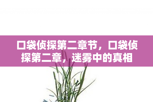 口袋侦探第二章节，口袋侦探第二章，迷雾中的真相