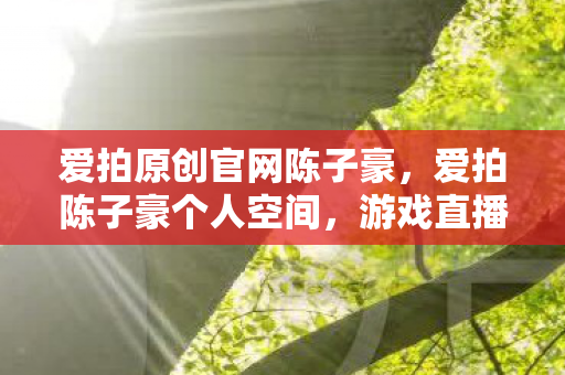 爱拍原创官网陈子豪，爱拍陈子豪个人空间，游戏直播的璀璨之星