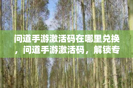 问道手游激活码在哪里兑换，问道手游激活码，解锁专属福利，畅游仙魔世界