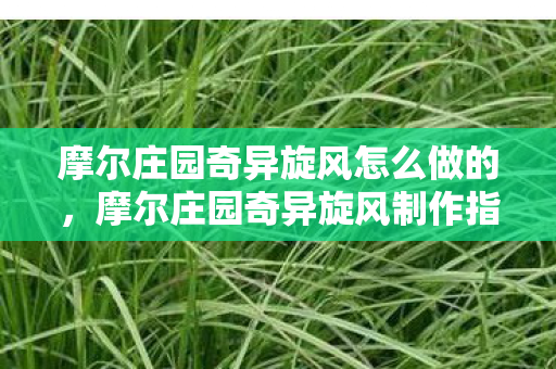 摩尔庄园奇异旋风怎么做的，摩尔庄园奇异旋风制作指南