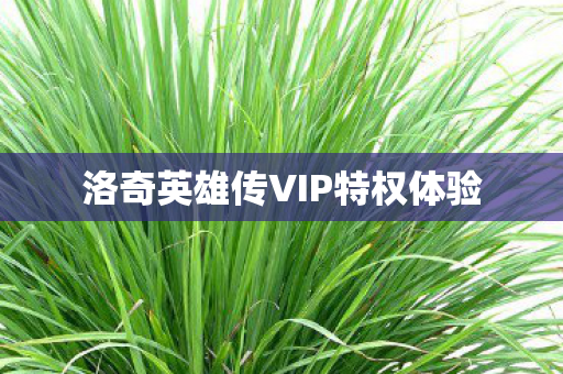 洛奇英雄传VIP特权体验