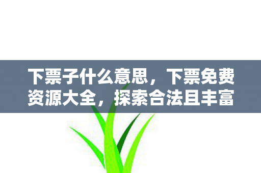 下票子什么意思，下票免费资源大全，探索合法且丰富的免费资源世界