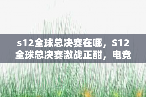 s12全球总决赛在哪，S12全球总决赛激战正酣，电竞盛宴点燃全球热情