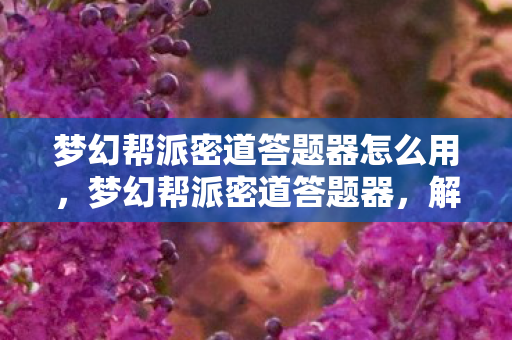 梦幻帮派密道答题器怎么用，梦幻帮派密道答题器，解锁帮派密道的智慧钥匙
