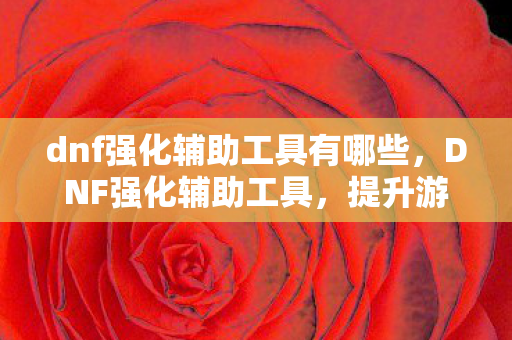 dnf强化辅助工具有哪些，DNF强化辅助工具，提升游戏效率，助力玩家成长