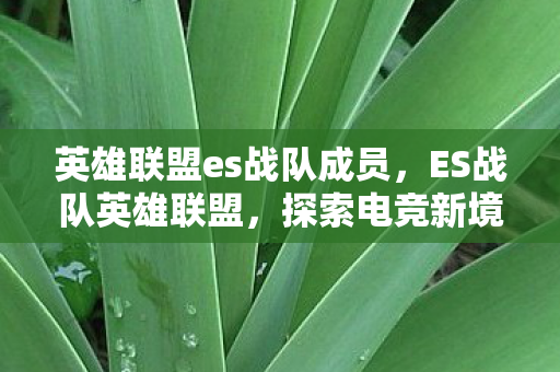英雄联盟es战队成员，ES战队英雄联盟，探索电竞新境界