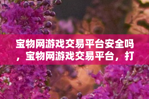 宝物网游戏交易平台安全吗，宝物网游戏交易平台，打造安全、便捷的游戏交易新体验