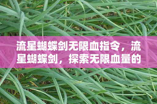 流星蝴蝶剑无限血指令，流星蝴蝶剑，探索无限血量的奥秘