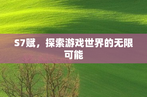 S7赋，探索游戏世界的无限可能